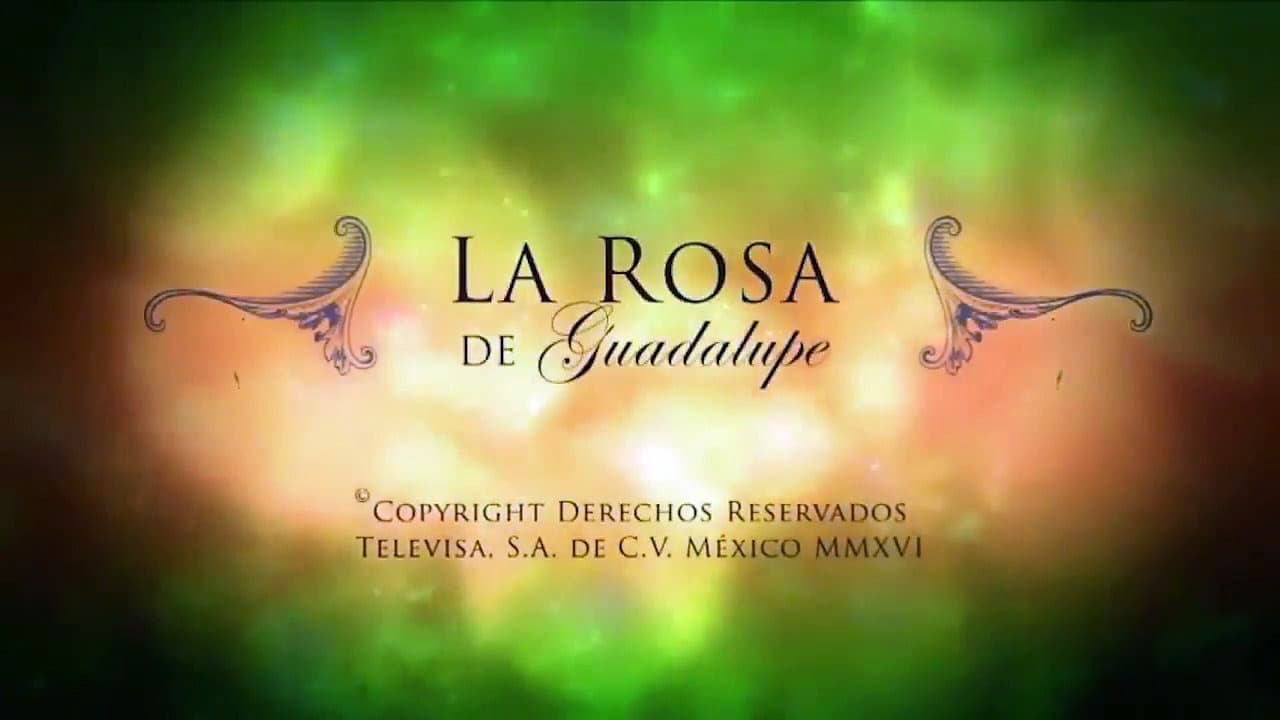 La Rosa de Guadalupe