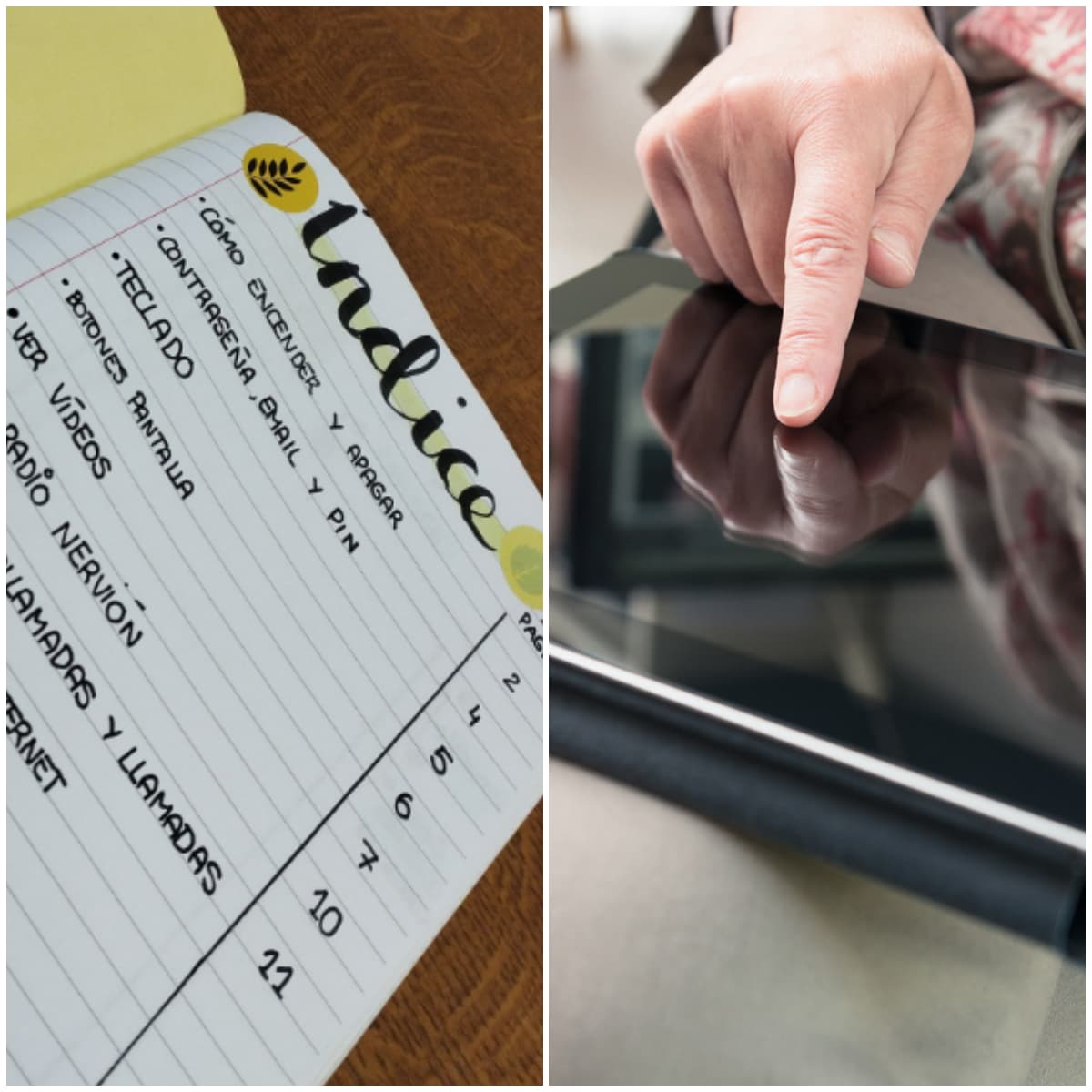 Joven conmueve con manual para que su abuelita use iPad