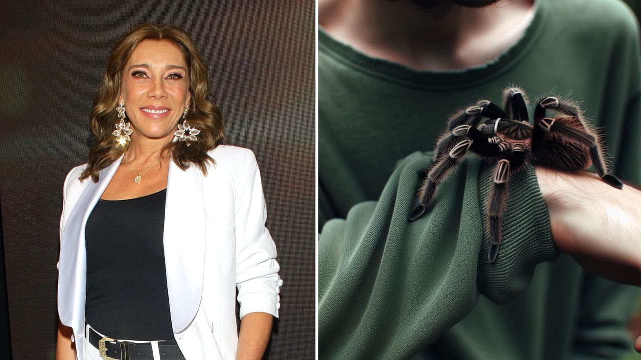 Cynthia Klitbo es hospitalizada de emergencia tras ser picada por una araña, ¿qué ocurrió?