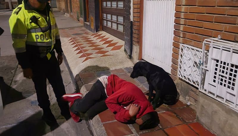 Perro conmueve al cuidar a su dueño en su borrachera